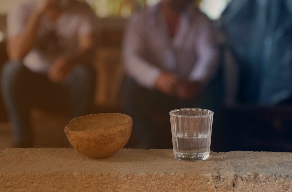 Los mezcales de México: Provincias mezcaleras y gentilicios del mezcal